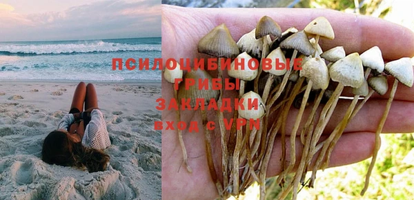 гашик Арсеньев