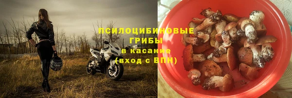 гашик Арсеньев
